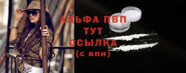 шишки Нязепетровск