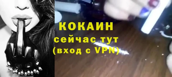 шишки Нязепетровск