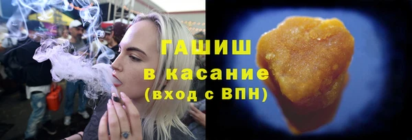 гашик Няндома