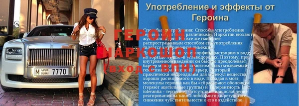 гашик Няндома