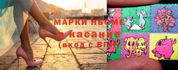 гашик Няндома