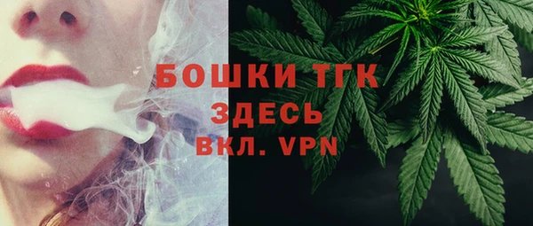 гашик Няндома
