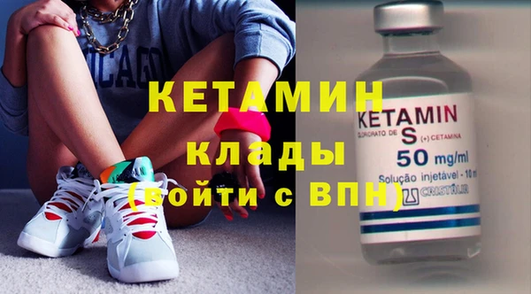 гашик Няндома
