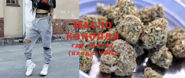 гашик Няндома