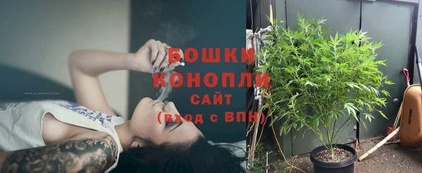 гашик Няндома