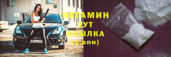 гашик Няндома