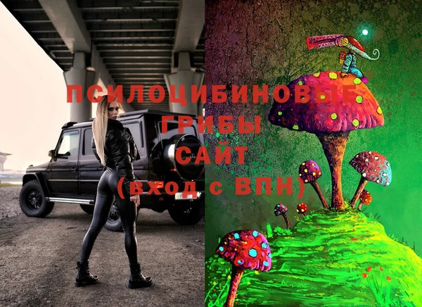 шишки Осташков