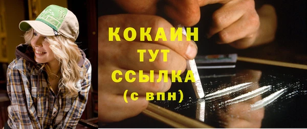 шишки Нязепетровск