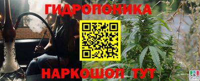 не бодяженный Бийск