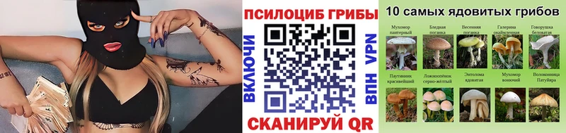 мориарти какой сайт  Рязань  Псилоцибиновые грибы Psilocybine cubensis 