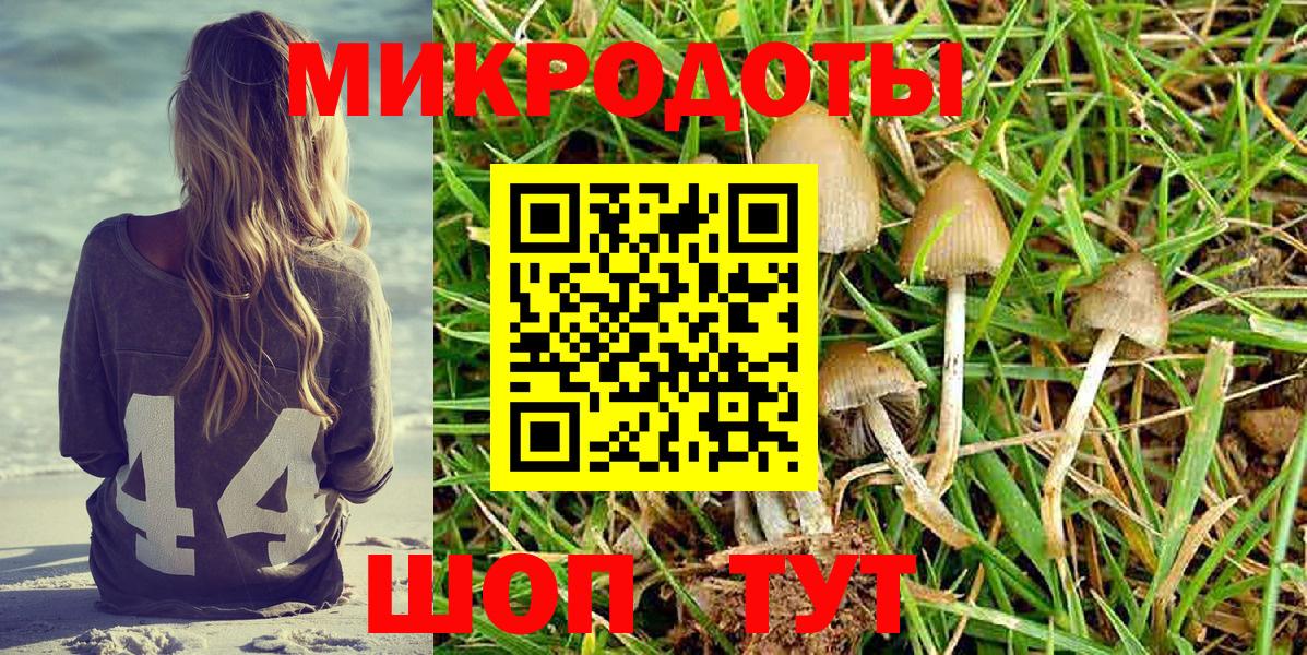 Галлюциногенные грибы Psilocybine cubensis  Рязань 