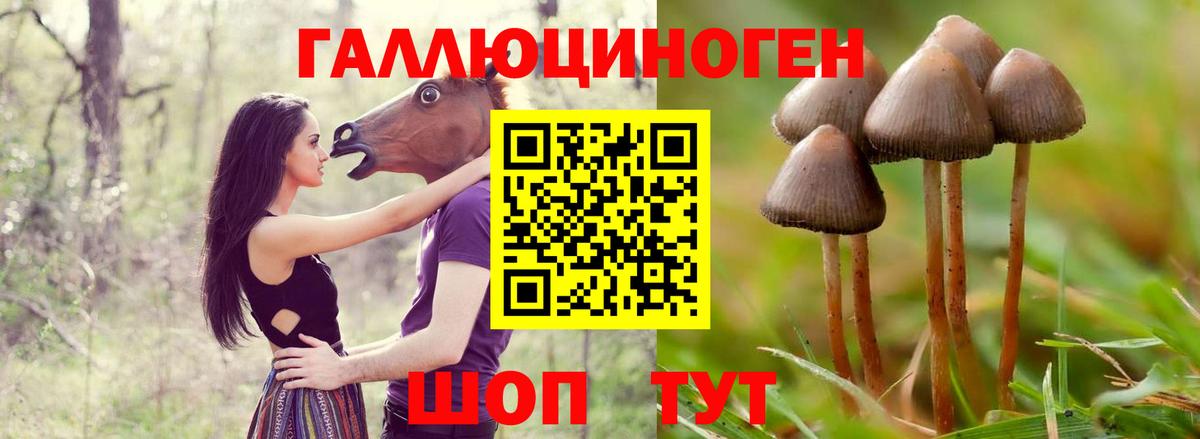 Псилоцибиновые грибы ЛСД Рязань